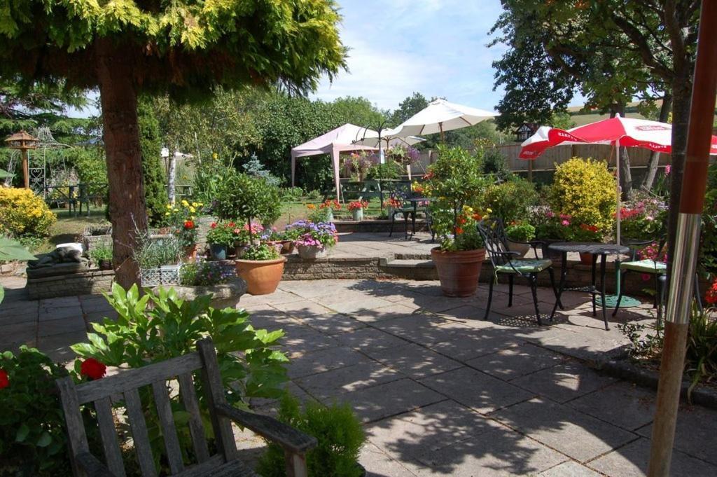 The Hood Arms Hotel Kilve ภายนอก รูปภาพ