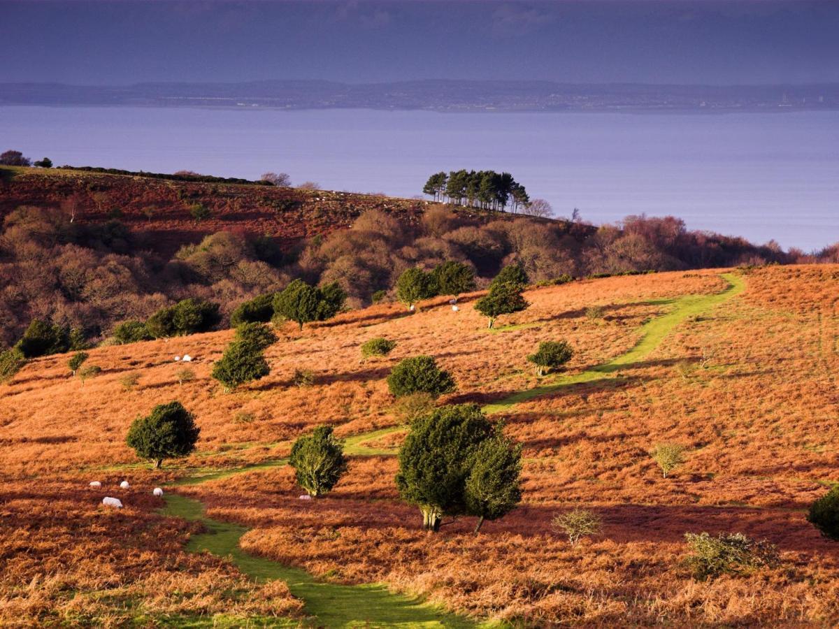 The Hood Arms Hotel Kilve ภายนอก รูปภาพ