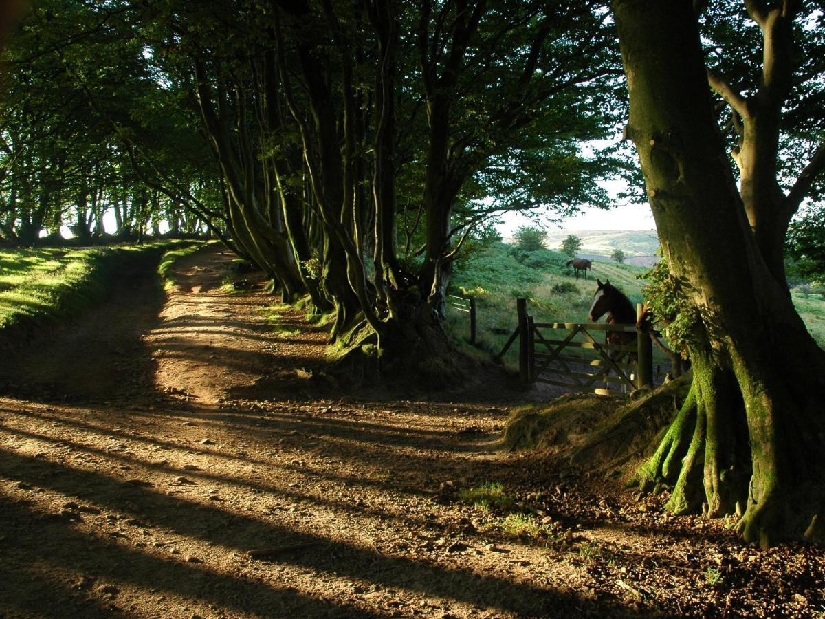 The Hood Arms Hotel Kilve ภายนอก รูปภาพ